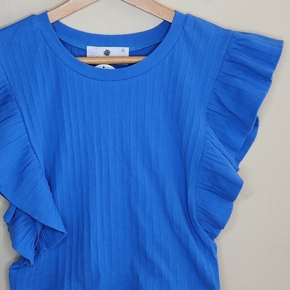 NWT Everyday Chic Boutique | Blue Cropped Ruffle Open Back Top - Picture 2 of 6